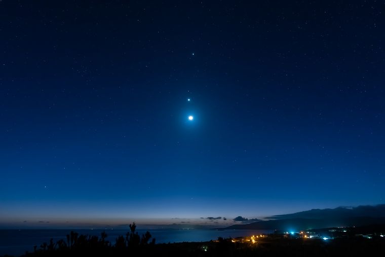 Este fenómeno será visible hasta el 30 de marzo Foto: Shutterstock