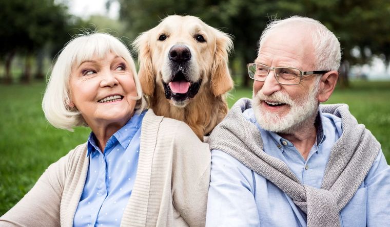 Los perros dan y reciben amor, pero también son un factor esencial para nuestra salud. En la nota te contamos los beneficios de las mascotas en nuestras vidas Foto: Arbor.