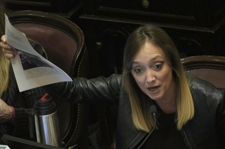 Unión por la plata, el furcio de la senadora Anabel Fernández Sagasti en plena sesión.