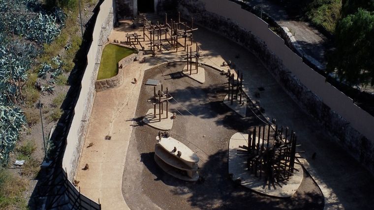El Ecoparque desde el aire. En la foto, el recinto de los monos papiones.