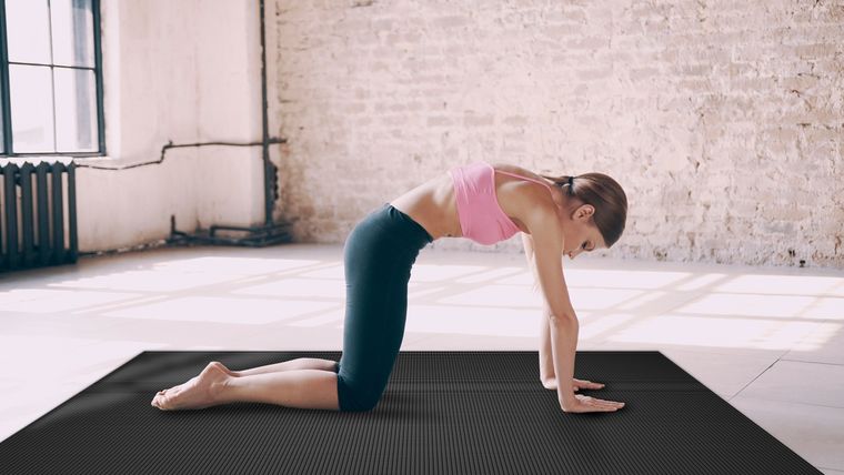 La postura de gato es una de las más sencillas que son parte de esta rutina Foto: Shutterstock