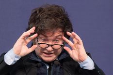 Foto: Santiago Tagua/MDZ