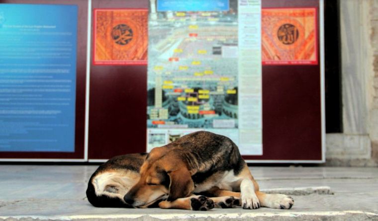 Se busca identificar al responsable.&nbsp;