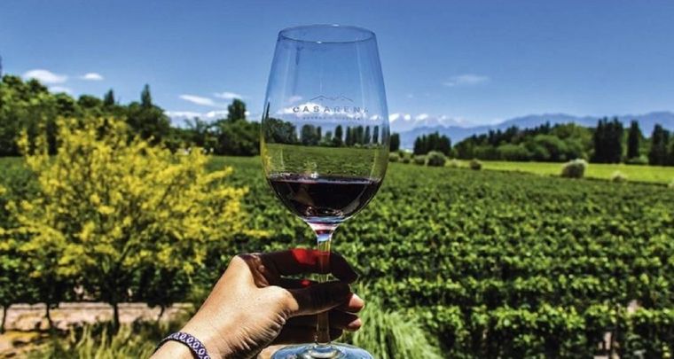 Vino argentino: hoy lo celebramos. Foto: MDZ