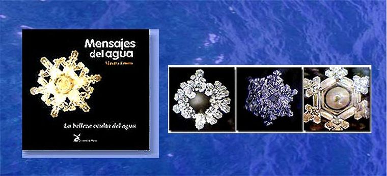 Algunas de las fotos del artista. Foto: web