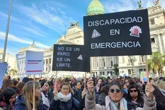 El Gobierno apuntó contra el juez que invalidó la suspención a la ley de emergencia en discapacidad.