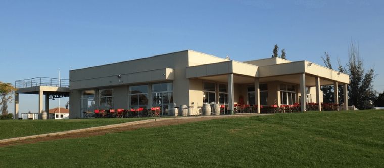 Habría jugadores del Liceo Rugby Club involucrados en la pelea que terminó con un joven desfigurado. Foto: Liceo Rugby Club
