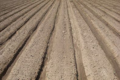 MDZol | Foto: Ulises Naranjo / MDZ.