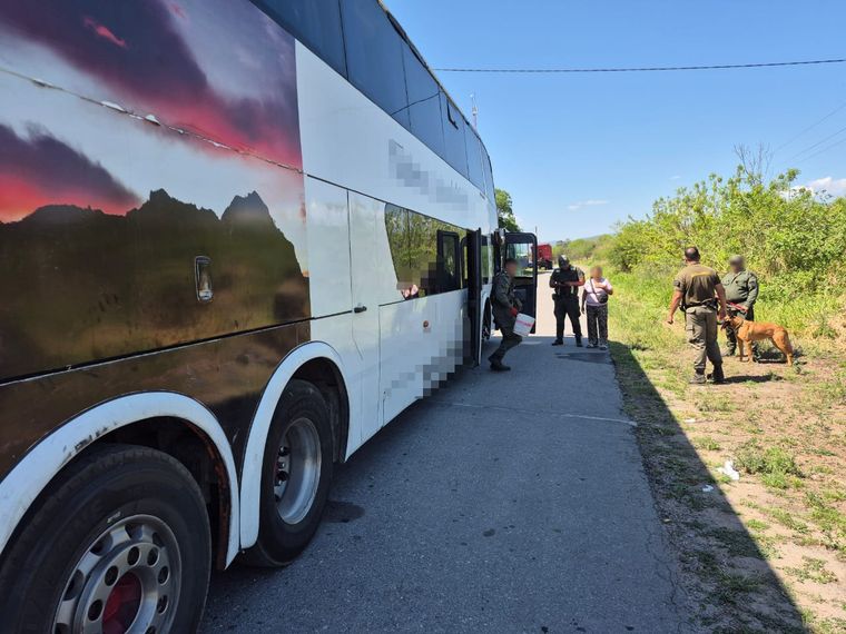El can adiestrado marcó el lugar donde se encontraba el cargamento de marihuana.  El can adiestrado marcó el lugar donde se encontraba el cargamento de marihuana.