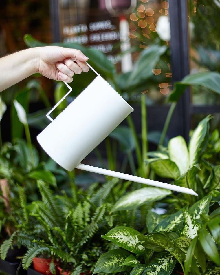 Un truco natural. Un truco natural.