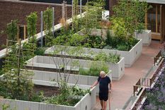 Desmitificando sobre jardinería.