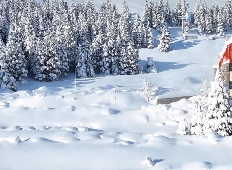 La caminata con raquetas de nieve es uno de los principales atractivos de las vacaciones de invierno. 