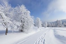 por que adelgazamos con el frio y engordamos con el calor