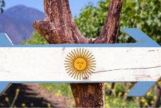 Informe sobre el Malbec. Foto: Gentileza