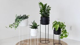 Otra forma de decorar. Otra forma de decorar.