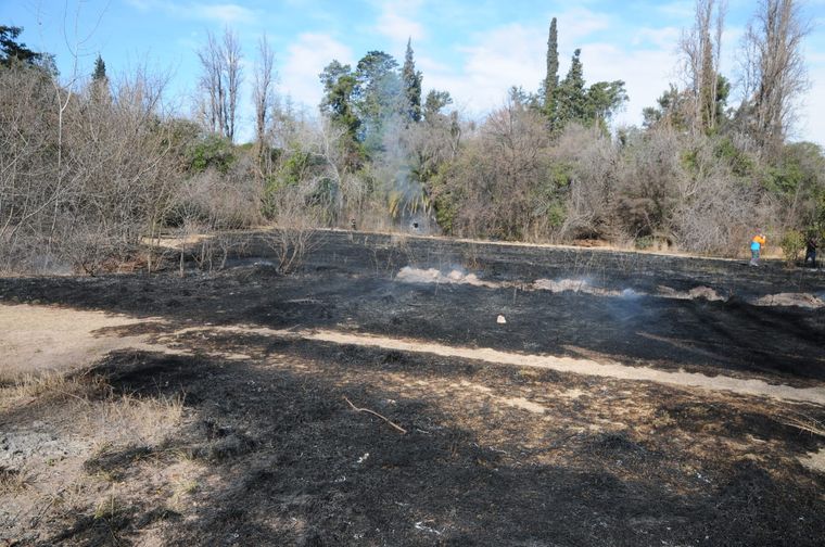 El fuego arrasó con más de 200 metros cuadrados de uno de los predios del Parque General San Martín Foto: Alf Ponce