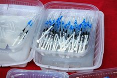 provincia de buenos aires anuncio la vacunacion libre para mayores de 3 anos