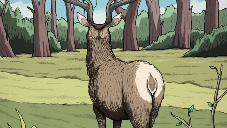 ACERTIJO VISUAL ACERTIJO VISUAL, RETO VISUAL, PUMA Foto: ARCHIVO