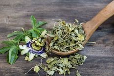 La pasiflora es una planta con diversos beneficios para el organismo Foto: Shutterstock