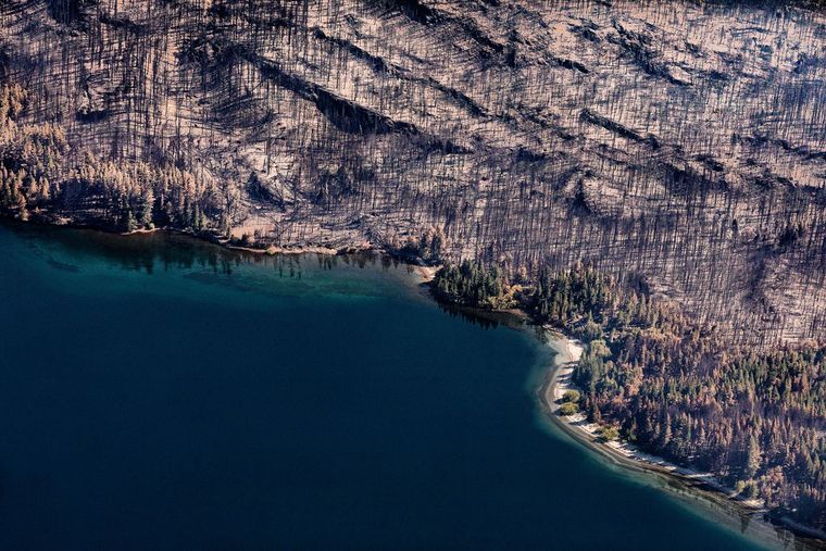 Así quedó parte de las zonas afectadas por los incendios en Chubut.&nbsp;