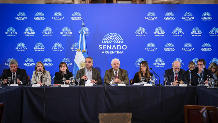 El Senado avanzó con el régimen de Zona Fría.&nbsp;