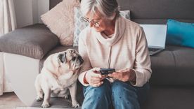 Las razas pequeñas y tranquilas son las más aconsejadas para adultos mayores. Foto: Shutterstock Las razas pequeñas y tranquilas son las más aconsejadas para adultos mayores. Foto: Shutterstock