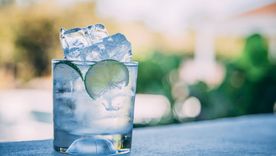 Hacer gin en casa es más simple de lo que puedes imaginar. Foto: Drink Nation - https://www.drinknation.com/images/drinks/gin-and-tonic.1920l.jpg
