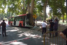 El colectivo quedó en Av. Las Tipas. Foto: Christian Minich El colectivo quedó en Av. Las Tipas. Foto: Christian Minich