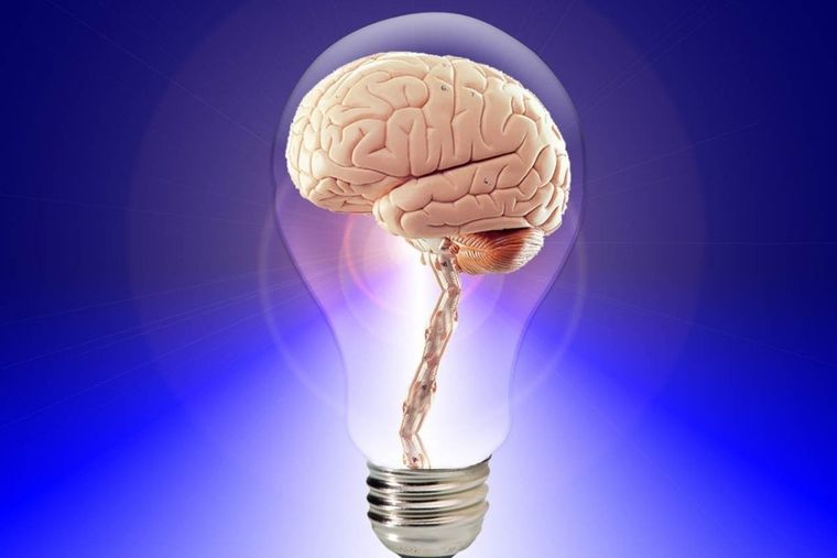 test visual test visual Foto: Canva