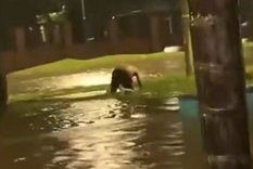 La reacción del padre del nene tras enterarse de la muerte de su hijo.