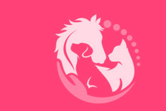 Test de personalidad