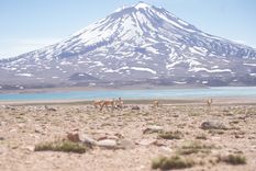 Este atractivo natural único se puede visitar durante los meses de verano Foto: Gobierno de Mendoza