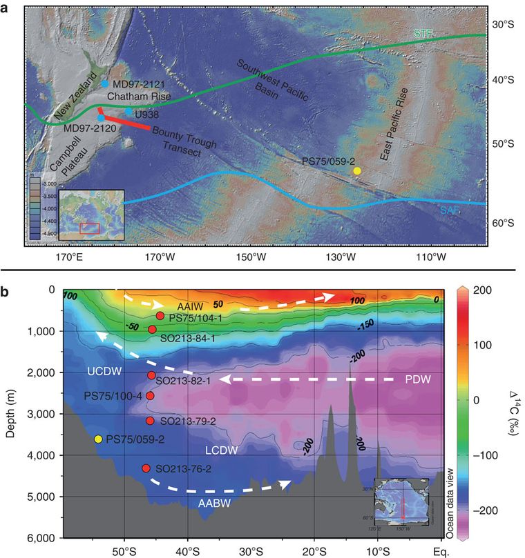 Foto: www.nature.com