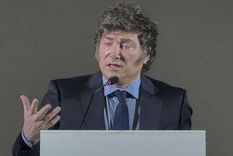 Javier Milei habló sobre el cruce entre Santiago Caputo y Facundo Manes Foto: EFE