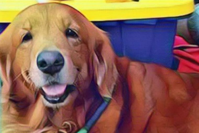 Alondra Foto: López Dórica Digital