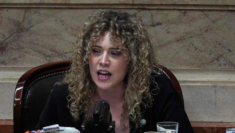 La diputada nacional Lourdes Arrieta Foto: NA