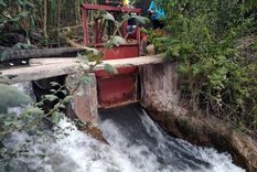 Foto: ALF PONCE / MDZ Foto: ALF PONCE / MDZ