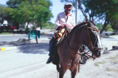 MDZol | Jinete Se cree que Don Tránsito hizo unos 35 kilómetros a caballo. Luego algo le pasó.