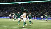 Palmeiras logró lo imposible: remontó la serie ante LDU y definirá la Libertadores con Flamengo. Palmeiras logró lo imposible: remontó la serie ante LDU y definirá la Libertadores con Flamengo.