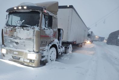 MDZol | 1616063.jpeg