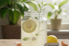 Las plantas volverán a la vida. Fuente. IA Gemini.