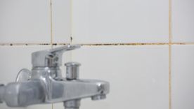 Adiós a las juntas llenas de moho en el baño. Foto: Shutterstock Adiós a las juntas llenas de moho en el baño. Foto: Shutterstock