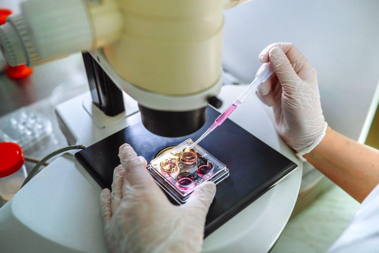 Son necesarios más ensayos clínicos para probar esta técnica de aislamiento de espermatozoides.