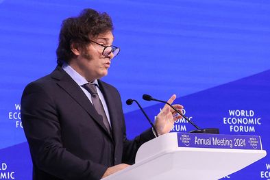 MDZol | Presidente Javier Milei Foto: NA