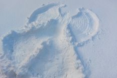 angel Siempre protegen. Foto: Fuente: Shutterstock