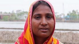 ¿Cómo afecta el cambio climático al bosque de manglar más grande del mundo? Foto: BBC