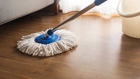 La mopa debe estar siempre limpia. La mopa debe estar siempre limpia.