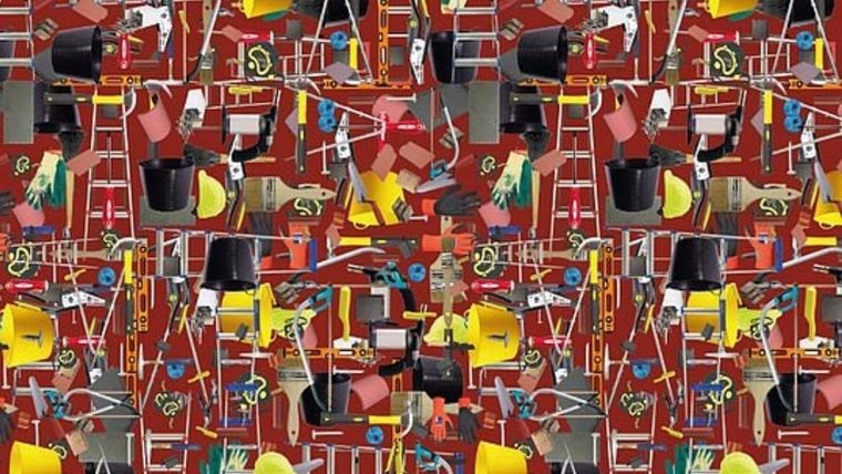 Acertijo visual, reto visual, murciélago Pinterest