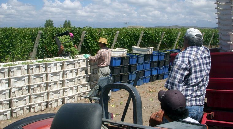 Foto: Ulises Naranjo.