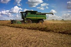 impacto climatico: se deberan recortar las estimaciones productivas de maiz y soja